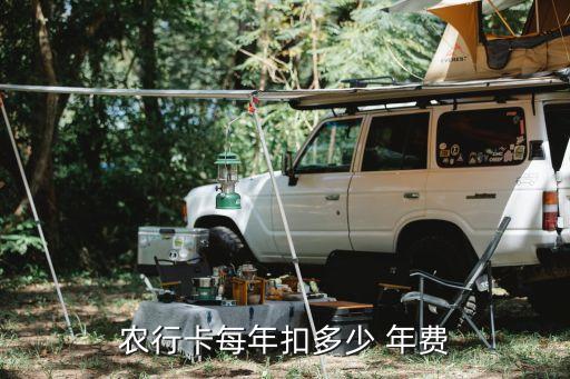农行卡每年扣多少 年费