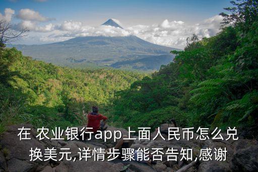 在 农业银行app上面人民币怎么兑换美元,详情步骤能否告知,感谢