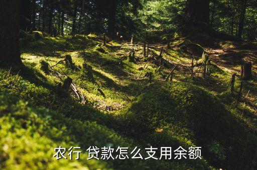 农业贷款怎么取现还款方式