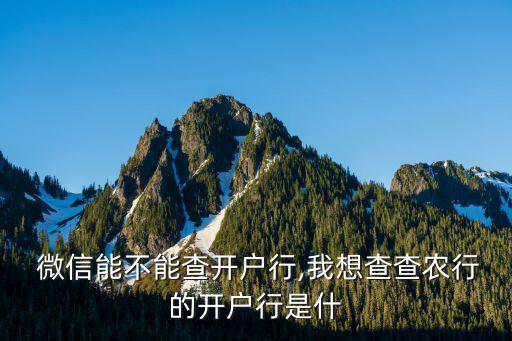  微信能不能查开户行,我想查查农行的开户行是什