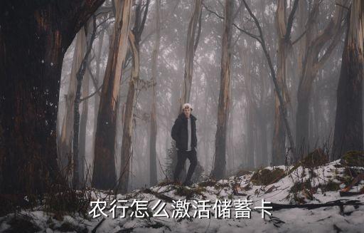 农业银行借记卡怎么设置