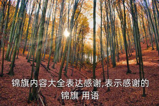 送给农业局锦旗用语怎么写,赠医护人员锦旗用语怎么写?