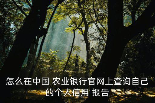 怎么在中国 农业银行官网上查询自己的个人信用 报告