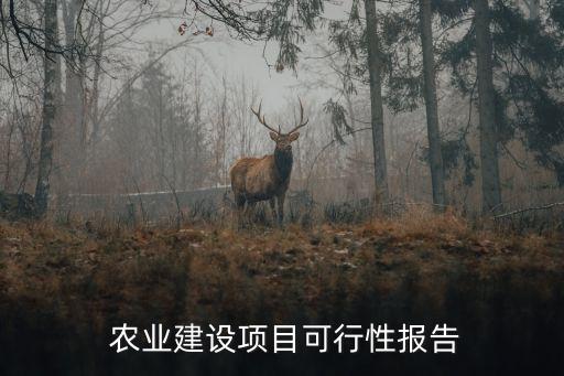 农业运营问题分析怎么写,乡镇农业统计第一季度分析怎么写
