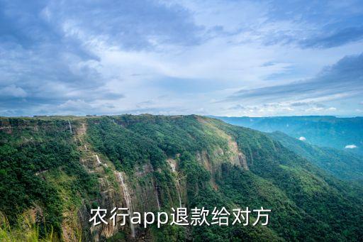 农业银行转账怎么申请退回