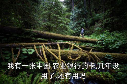 农业银行卡还能用么怎么查,十年前的农业银行卡还能用吗