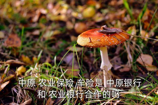 中原农业保险车险怎么样
