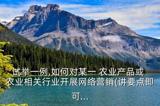 试举一例,如何对某一 农业产品或 农业相关行业开展网络营销(讲要点即可...