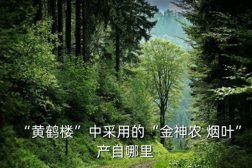 烟叶属于什么农业,烟叶站属于什么单位
