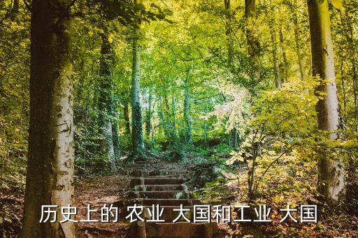 大国农业是什么,全球第一农业大国