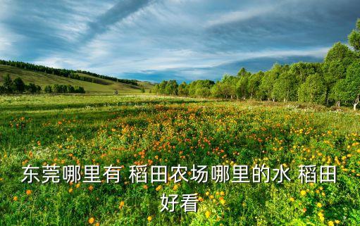 休闲农业稻田画怎么画,稻田休闲农业PPT设计