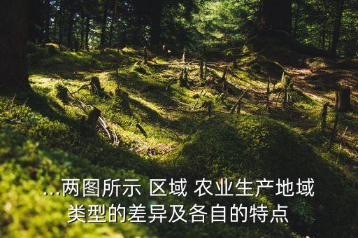 ...两图所示 区域 农业生产地域类型的差异及各自的特点