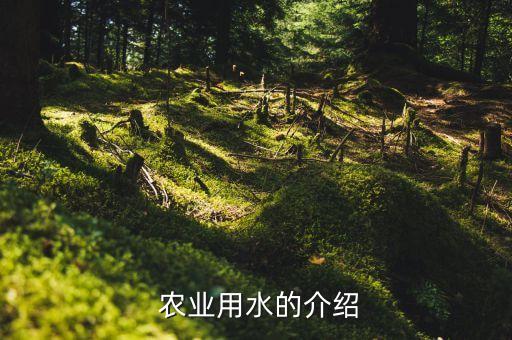  农业用水的介绍