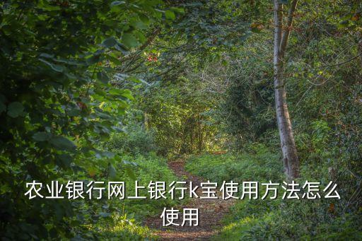 农业银行k宝怎么登录企业