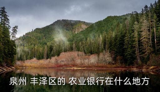 泉州 丰泽区的 农业银行在什么地方