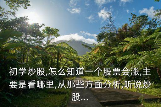 初学炒股,怎么知道一个股票会涨,主要是看哪里,从那些方面分析,听说炒股...