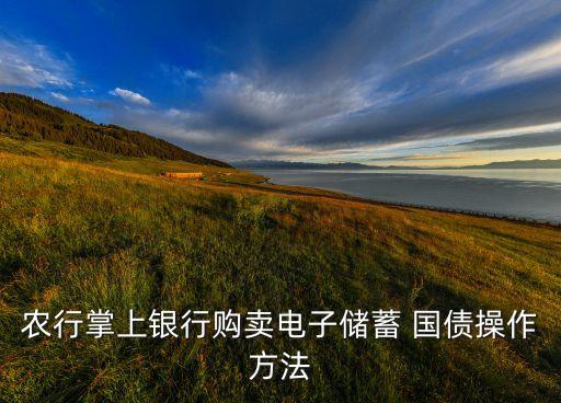 网上农业银行怎么购买国债,农业银行可以购买国债吗