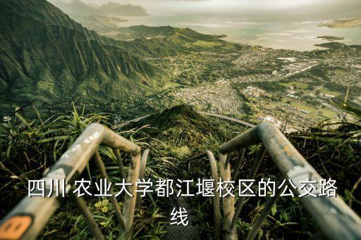  四川 农业大学都江堰校区的公交路线