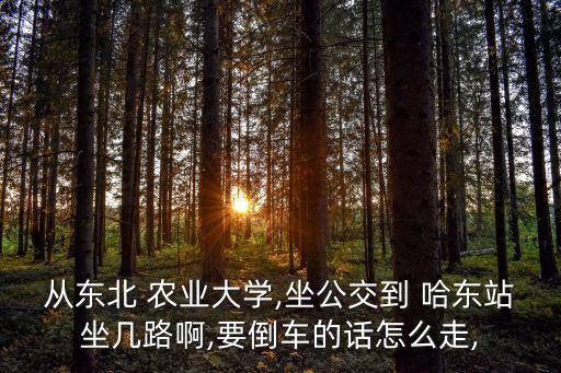 哈东到农业大学怎么走