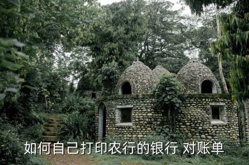 如何自己打印农行的银行 对账单