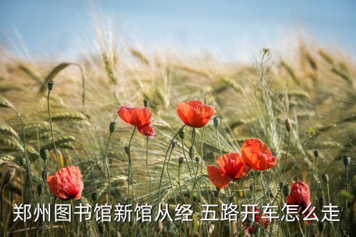 农业路经五路怎么走,河南博物院位置在农业路与经五路