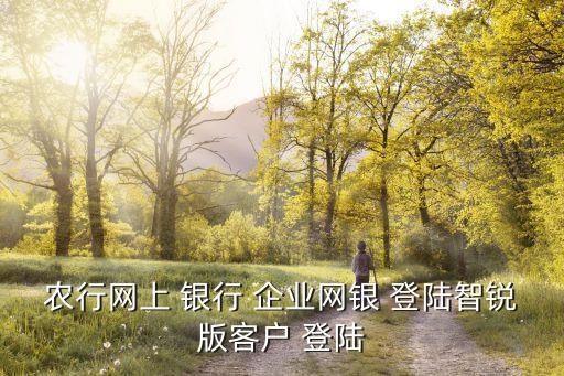 农行网上 银行 企业网银 登陆智锐版客户 登陆