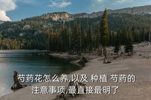 农业科技网芍药怎么种植