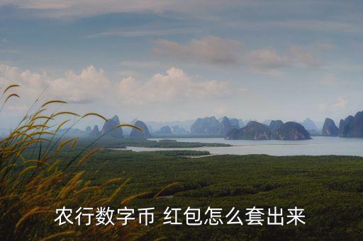 农行数字币 红包怎么套出来