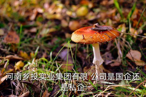 乡投农业公司怎么样,奥德雷斯农业公司怎么样