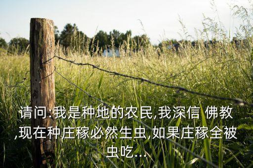 佛教怎么看农业杀虫