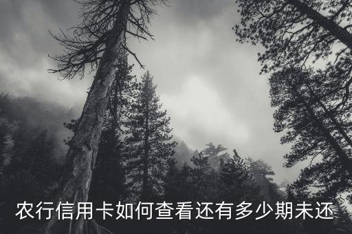 农业银行怎么查汽车分期