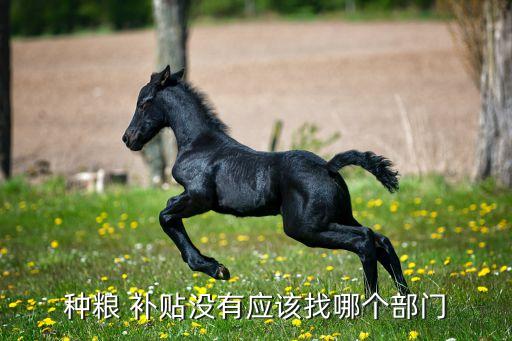 农业补贴怎么审计,河南农业补贴怎么查询