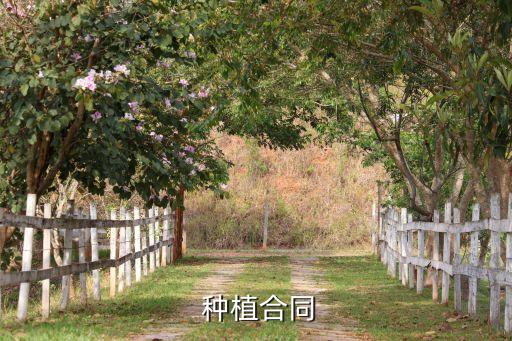 农业种植方案怎么写范文