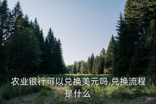  农业银行可以兑换美元吗,兑换流程是什么