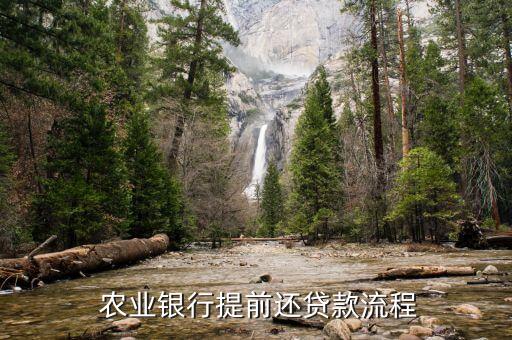 农业银行的医护贷怎么还款