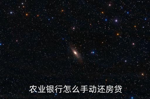  农业银行怎么手动还房贷