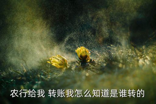 农行给我 转账我怎么知道是谁转的