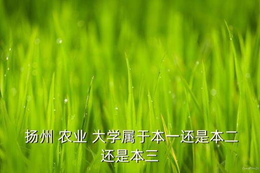  扬州 农业 大学属于本一还是本二还是本三