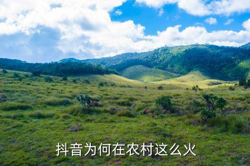  抖音为何在农村这么火