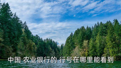 中国 农业银行的 行号在哪里能看到
