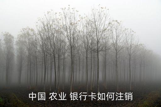 农业银行卡怎么销户吗