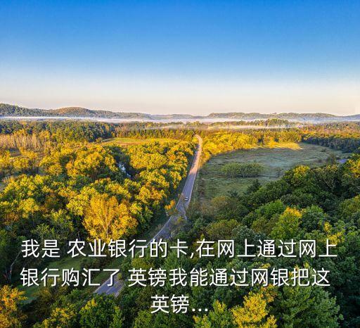 农业银行怎么取英镑的钱,去农业银行怎么取钱