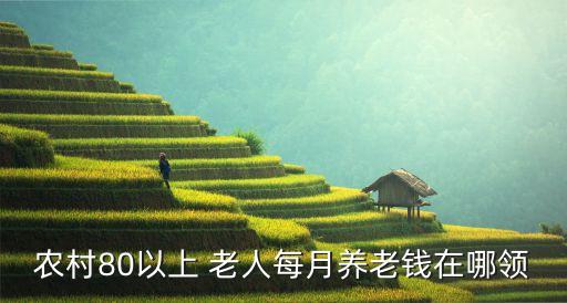 农村80以上 老人每月养老钱在哪领