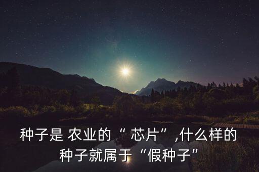芯片和农业的关系是什么,种子是农业的芯片关系着中国人的