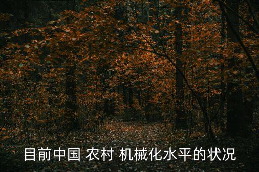 目前中国 农村 机械化水平的状况