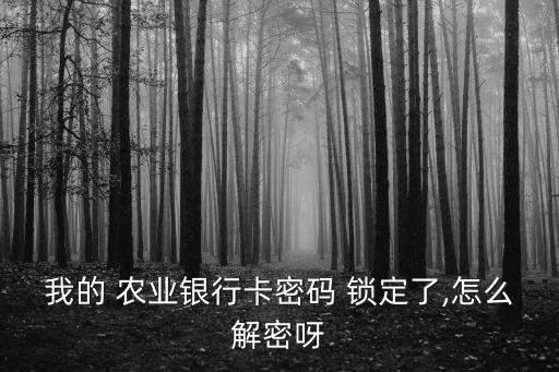 广东农业银行锁定怎么解锁,农业银行密码被锁定了多久解锁
