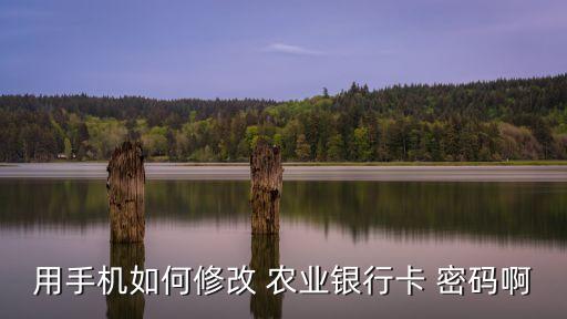 农业APP怎么更改登录密码