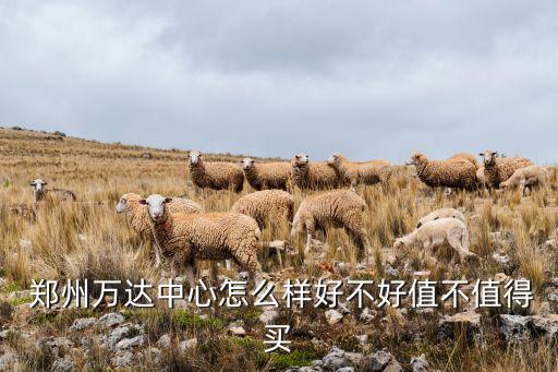  郑州万达中心怎么样好不好值不值得买