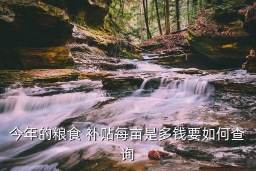 今年的粮食 补贴每亩是多钱要如何查询