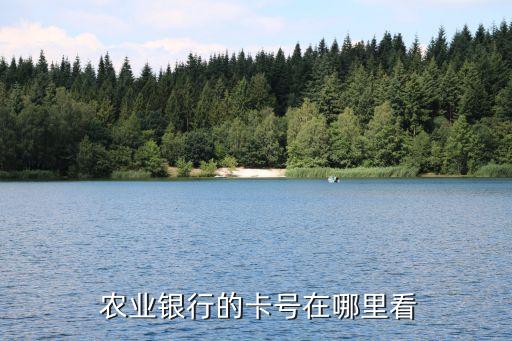 怎么查农业存折账号,农业无存折有账号能取款吗